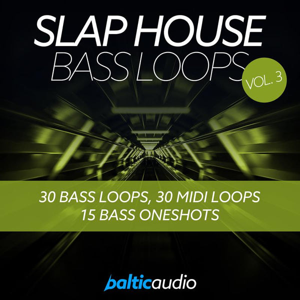 baltic audio - Slap House Bass Loops Vol 3